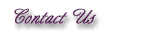 Contact Us